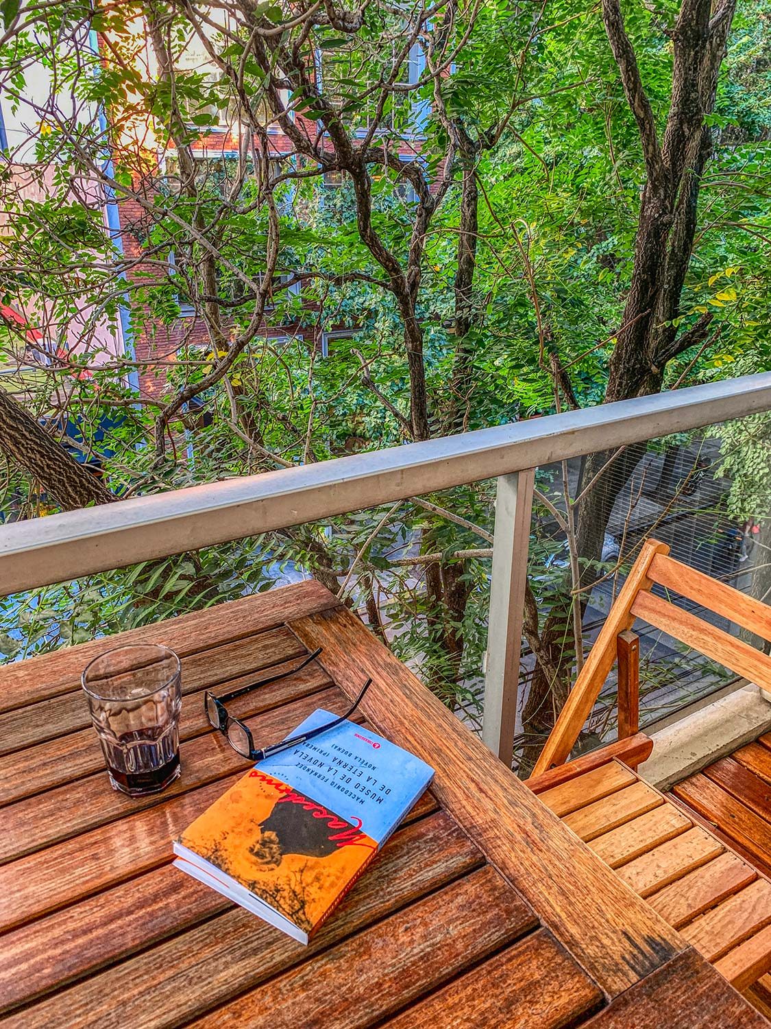 Um livro e um copo de Malbec à sombra da árvore na minha varanda em Buenos Aires.