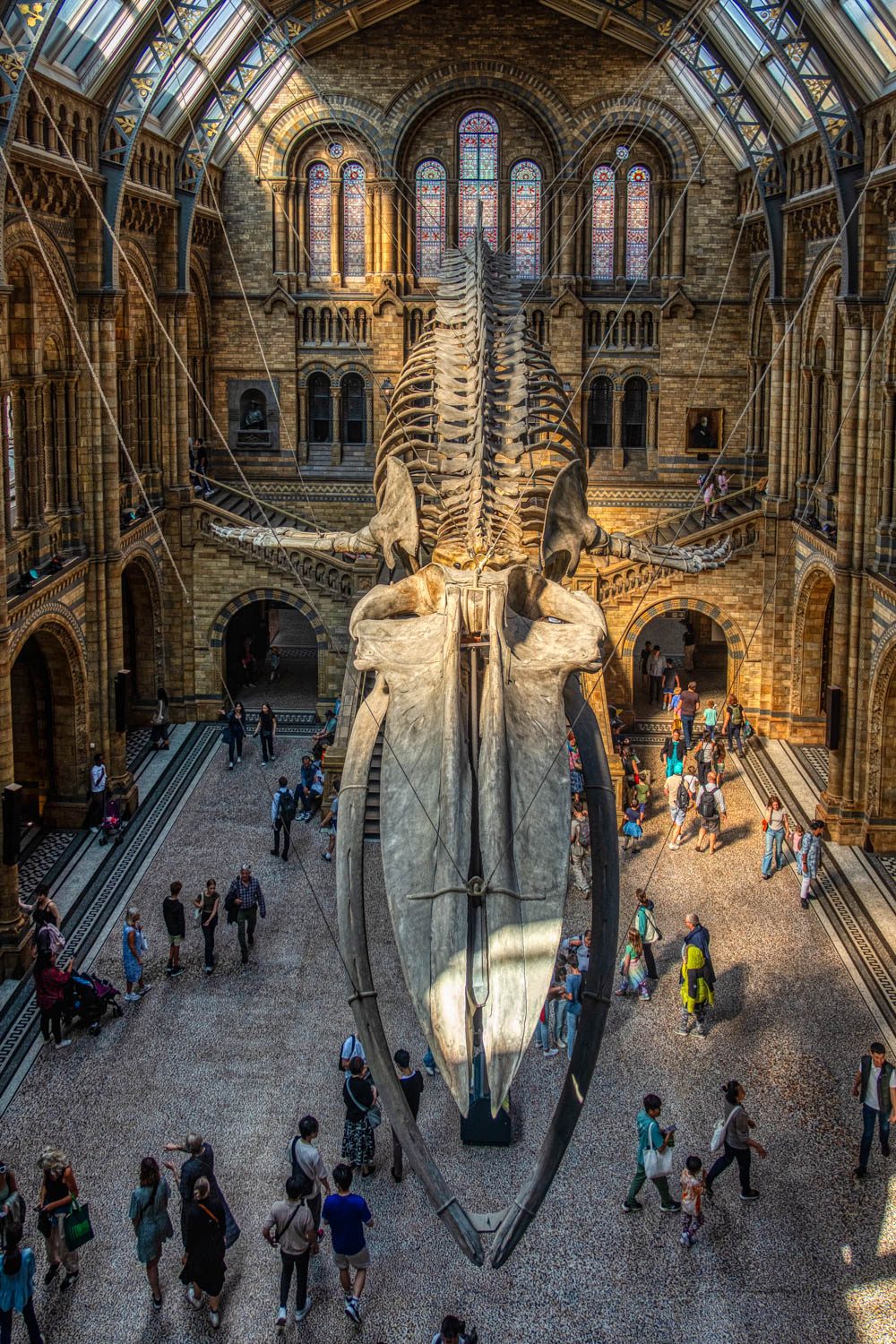 Natural History Museum