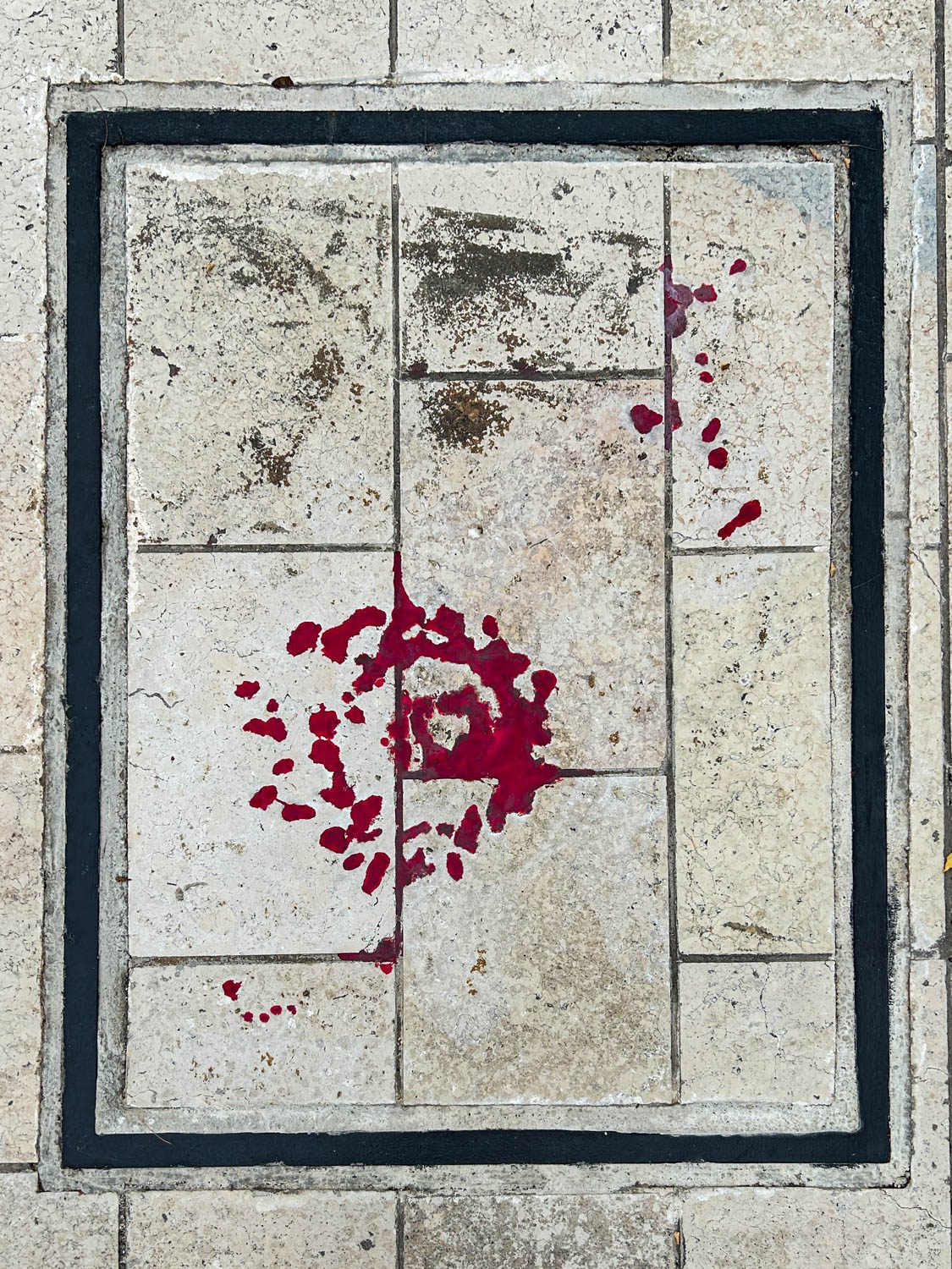 Sarajevo Rose