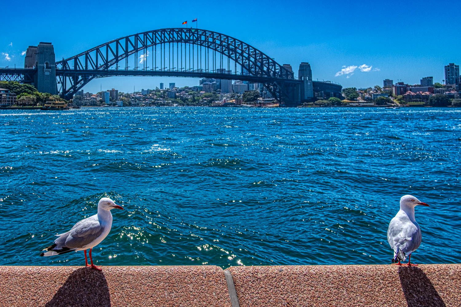 Sydney Harbour Bridge