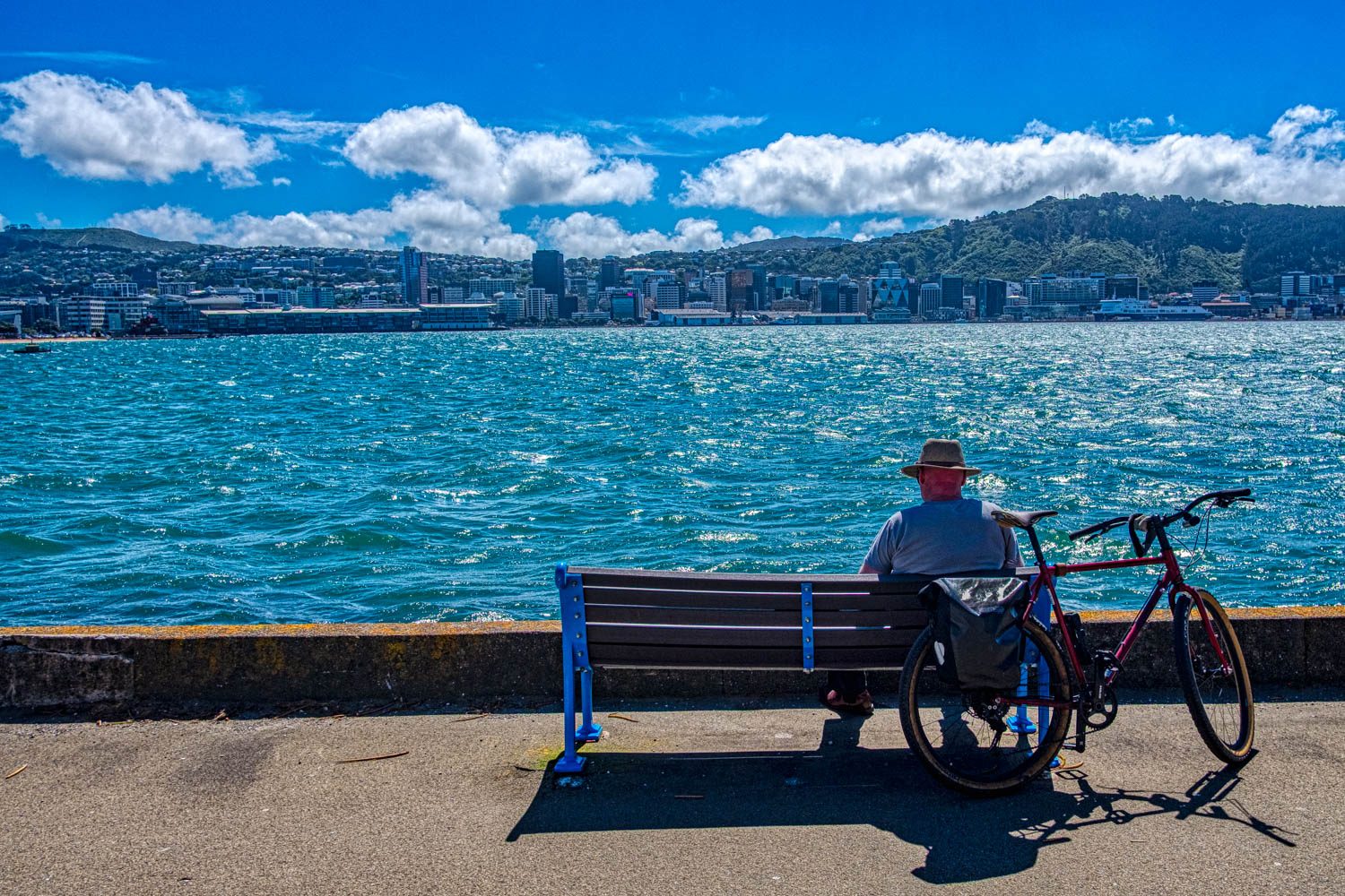 Wellington Harbour